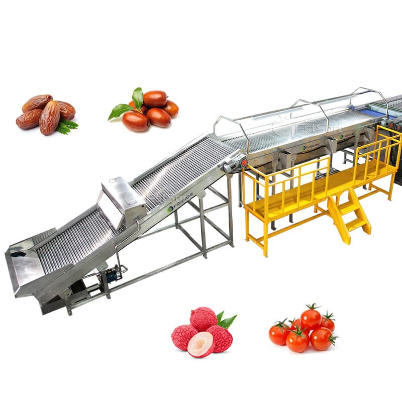 images/1769744726207lychee 2.jpg